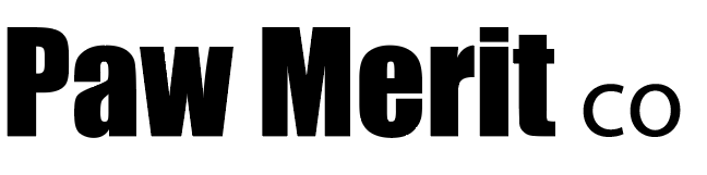 screenshot 2026 03 01 at 2.58.46 pm