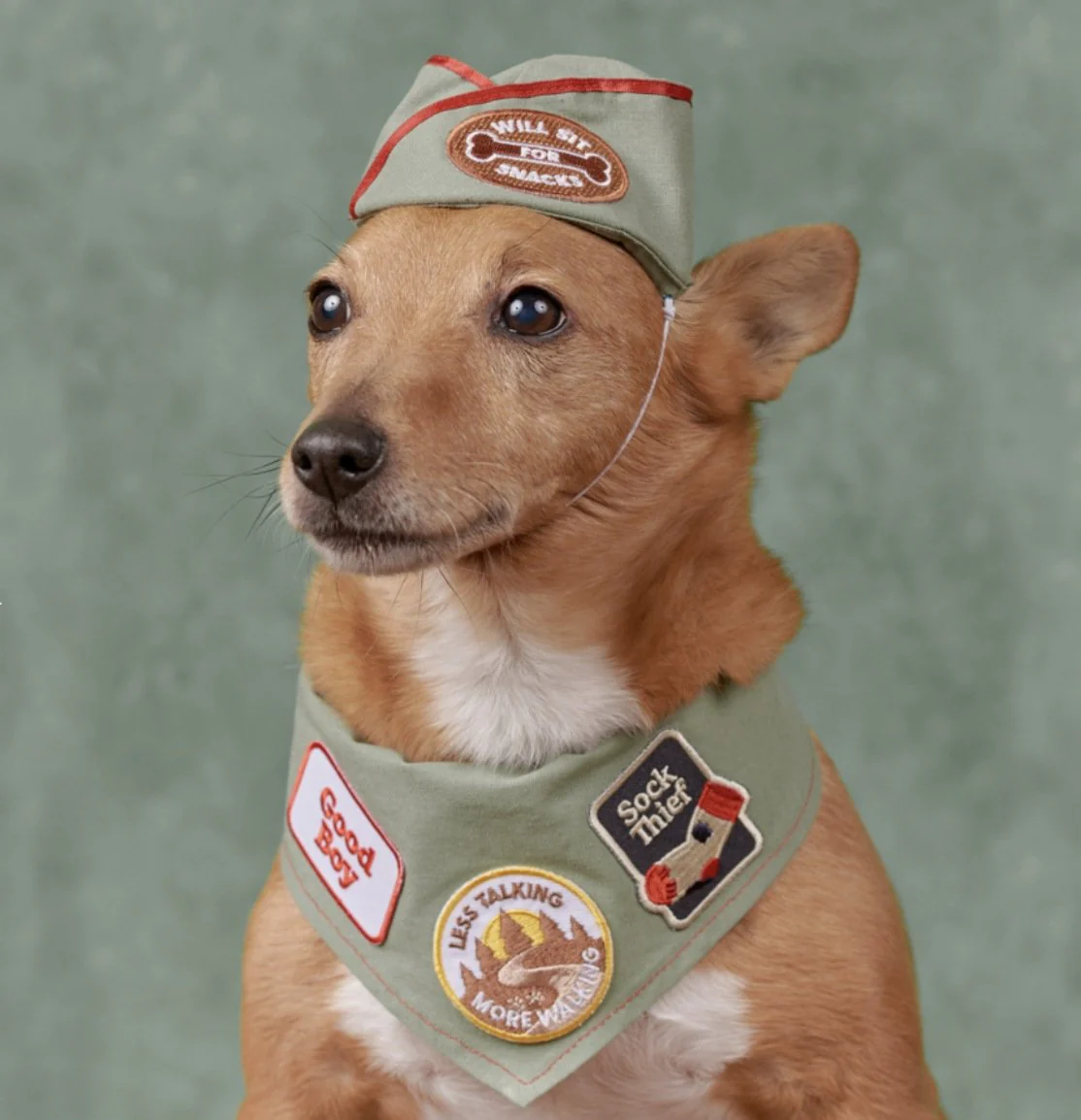 Home patches sock thief patch 2 1200x.jpeg